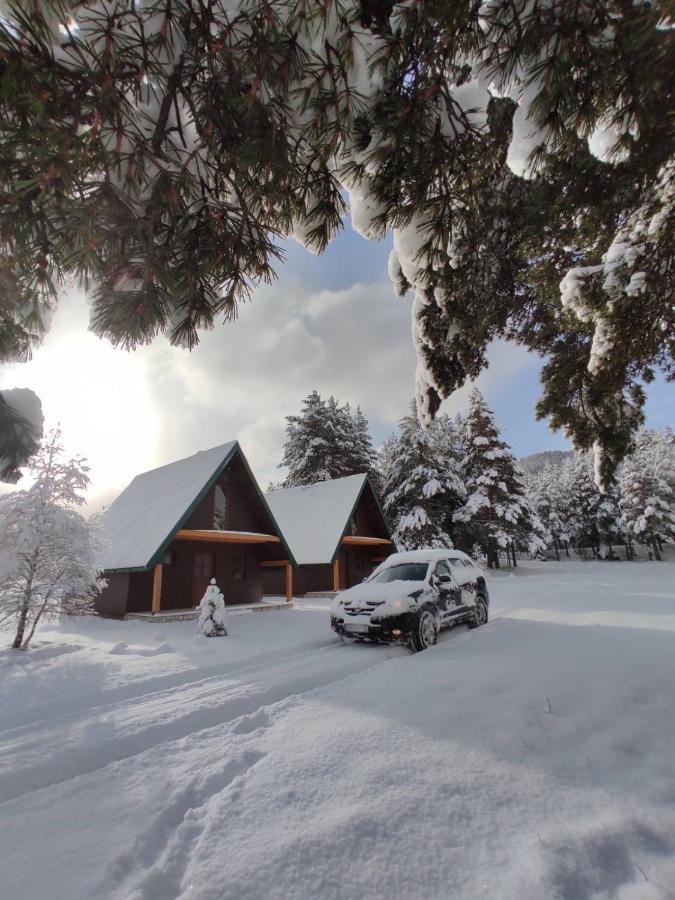 North Star Zabljak Bagian luar foto