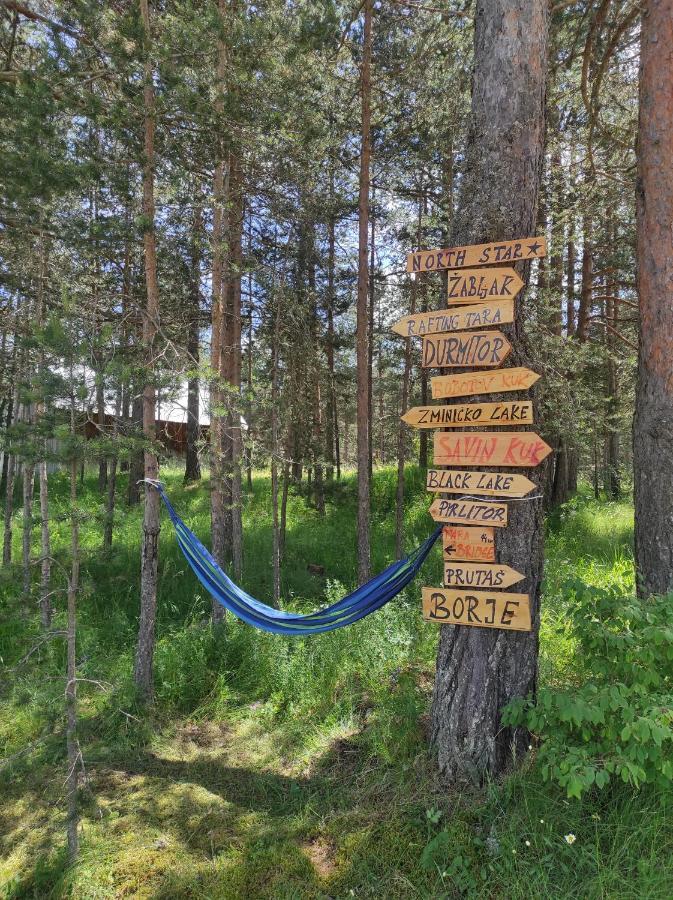 North Star Zabljak Bagian luar foto